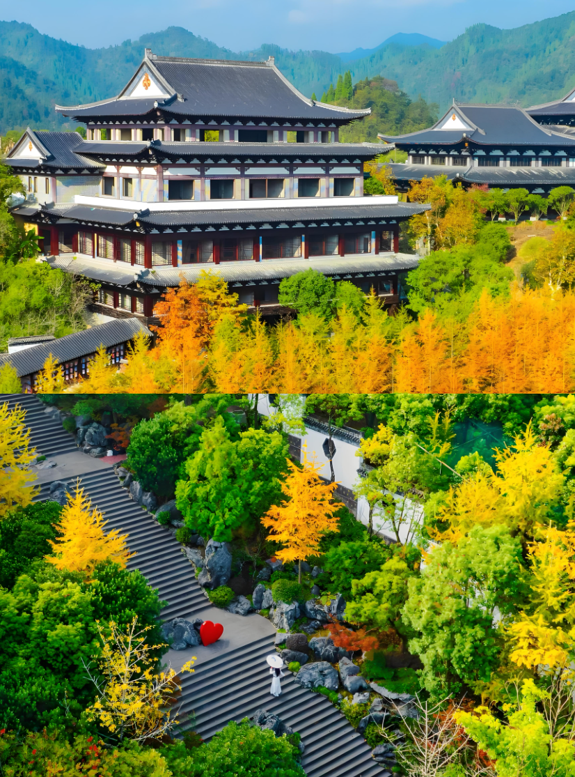 场景1.png 场景1.png